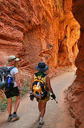 Zion and Bryce walking photo